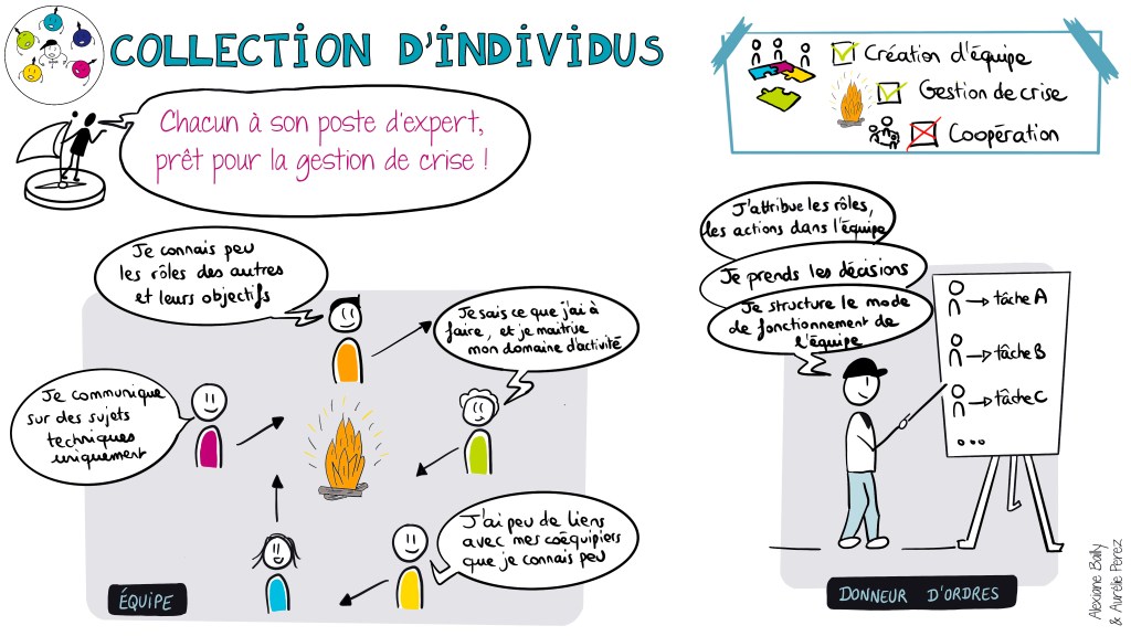 collection-individus